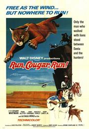 Run, Cougar, Run
