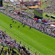 EPsom Racecourse