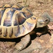 Bulgarka Nature Park, Bulgaria