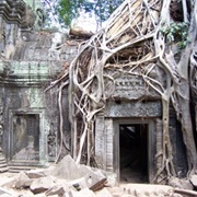 Adventure-Seeking in Angkor, Cambodia