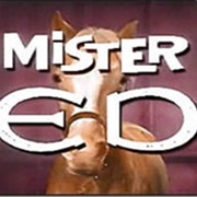 Mr Ed
