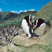 Bike/Hike the Otago Rail Trail, New Zealand