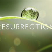 Ressurection