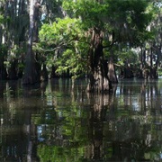 Trinity River National Wildlife Refuge