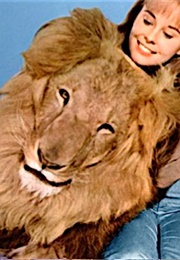 Clarence, Clarence the Cross-Eyed Lion (1965)