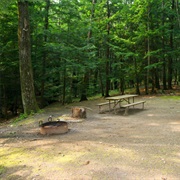 Fort Dummer State Park, Vermont