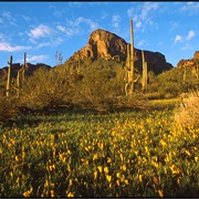 Picacho Peak State Park, Arizona