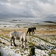Bodmin Moor, Cornwall