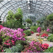 Garfield Park Conservatory