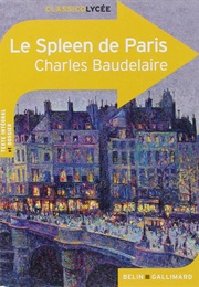 Le Spleen De Paris (Charles Baudelaire)