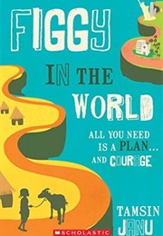 Figgy in the World (Tamsin Janu)