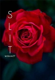 Slit (Writeon27--Ansley Cornell)
