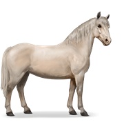 Chincoteague Pony - Cremello