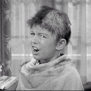 Leave It to Beaver: The Haircut