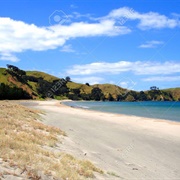 Whangapoua - Great Barrier
