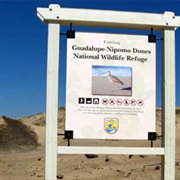 Guadalupe-Nipomo Dunes National Wildlife Refuge