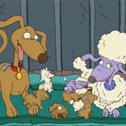 Bow Wow Wedding Vows