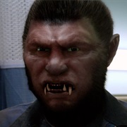 Drang Zorn - Badger Wesen