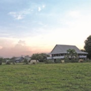 Dadanawa Ranch, Guyana