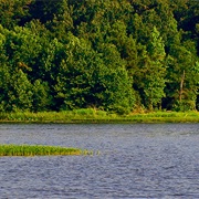 Millwood State Park, Arkansas