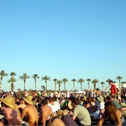 Go to Coachella