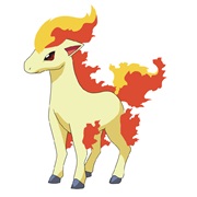 Ponyta
