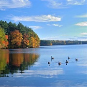 Whitehall State Park, Massachusetts