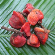 Miracle Berry (Thaumatococcus Daniellii)