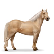 Quarter Pony - Palomino