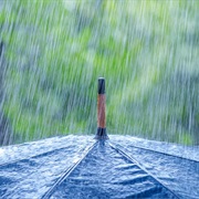 Rain
