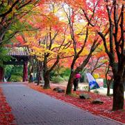 South Chungcheong Province