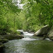 Gunpowder Falls State Park, Maryland