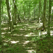 Big Sugar Creek State Park, Missouri