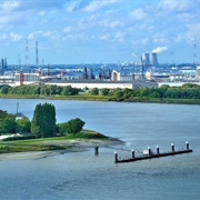 Scheldt River