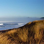 Bob Straub State Park, Oregon