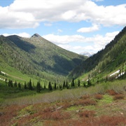 Flathead National Forest