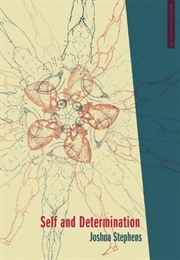 Self and Determination: An Inward Look at Collective Liberation (Joshua Stephens)