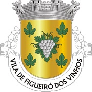 Figueiró Dos Vinhos