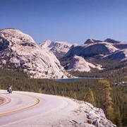 Tioga Road/Big Oak Flat Road
