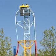 Vildsvinet (Bonbonland)