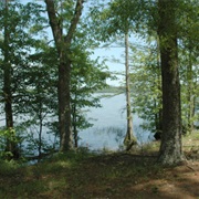 Trace State Park, Mississippi