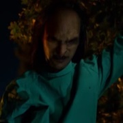 Geier - Vulture Wesen