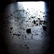 Crumbs From Your Table