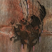 Avey Tare's Slasher Flicks - Enter the Slasher House