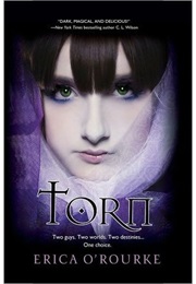 Torn (Erica O'Rourke)