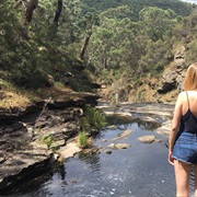 Sheoak Falls (Vic)
