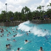 Typhoon Lagoon Surf Pool