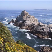 Point Lobos State Natural Reserve, California
