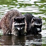 Cold Springs National Wildlife Refuge