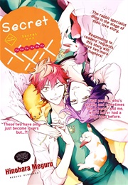 Secret XXX (Hinohara Meguru)